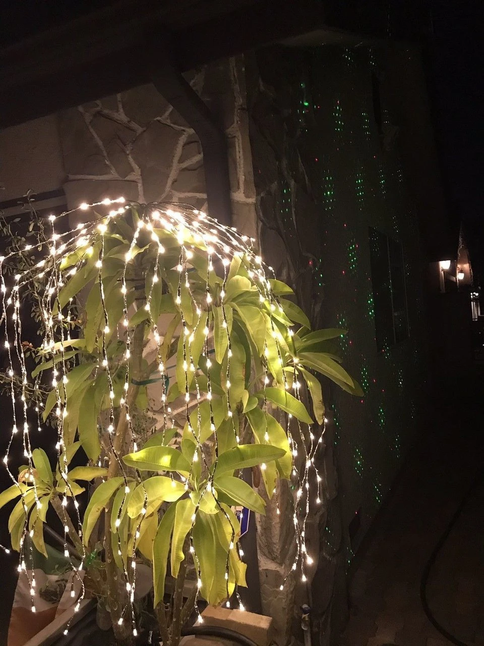 Lumineo 440 Micro LED Warm White Cascading Flashing Lights Silver Wire 4 Lumineo 440 Micro LED Warm White Cascading Flashing Lights Silver Wire - Image 2