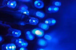 Lumineo 750 LED Blue Lights Green Wire 8 Lumineo 750 LED Blue Lights Green Wire -Christmas Decoration Best Blue LED Christmas Lights 960x639 05246.1571347367