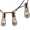 10 Incandescent Bulbs Brown Wire String Light Set -Christmas Decoration Everlasting Glow 10 Bulb String Lights bulb 95378.1680277820