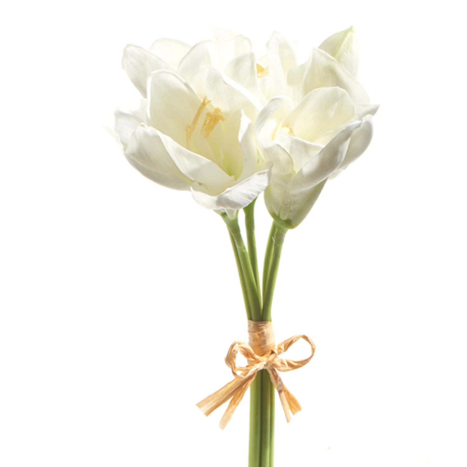 Raz 12" Real Touch White Amaryllis Bundle F4302310 4 Raz 12" Real Touch White Amaryllis Bundle F4302310 - Image 2