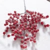 Raz 27.5" Snowy Red Berry Christmas Tree Spray F4306669 -Christmas Decoration F4306669 77732.1686061782