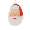 Cody Foster 3.25" Santa Face Blow Mold Glass Christmas Ornament GO-8877 -Christmas Decoration GO 8877 69103.1692207166