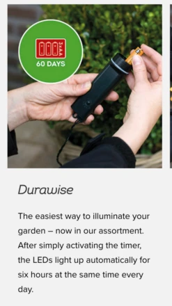 Lumineo 48 LED Warm White Twinkle Lights Black Wire -Christmas Decoration Screen Shot 2018 11 02 at 10.27.26 PM 21936.1541213307