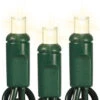 50 Light 5MM Wide Angle LED Frosted Warm White Lights Green Wire -Christmas Decoration WARM WHITE FROST LED 64148.1636663890