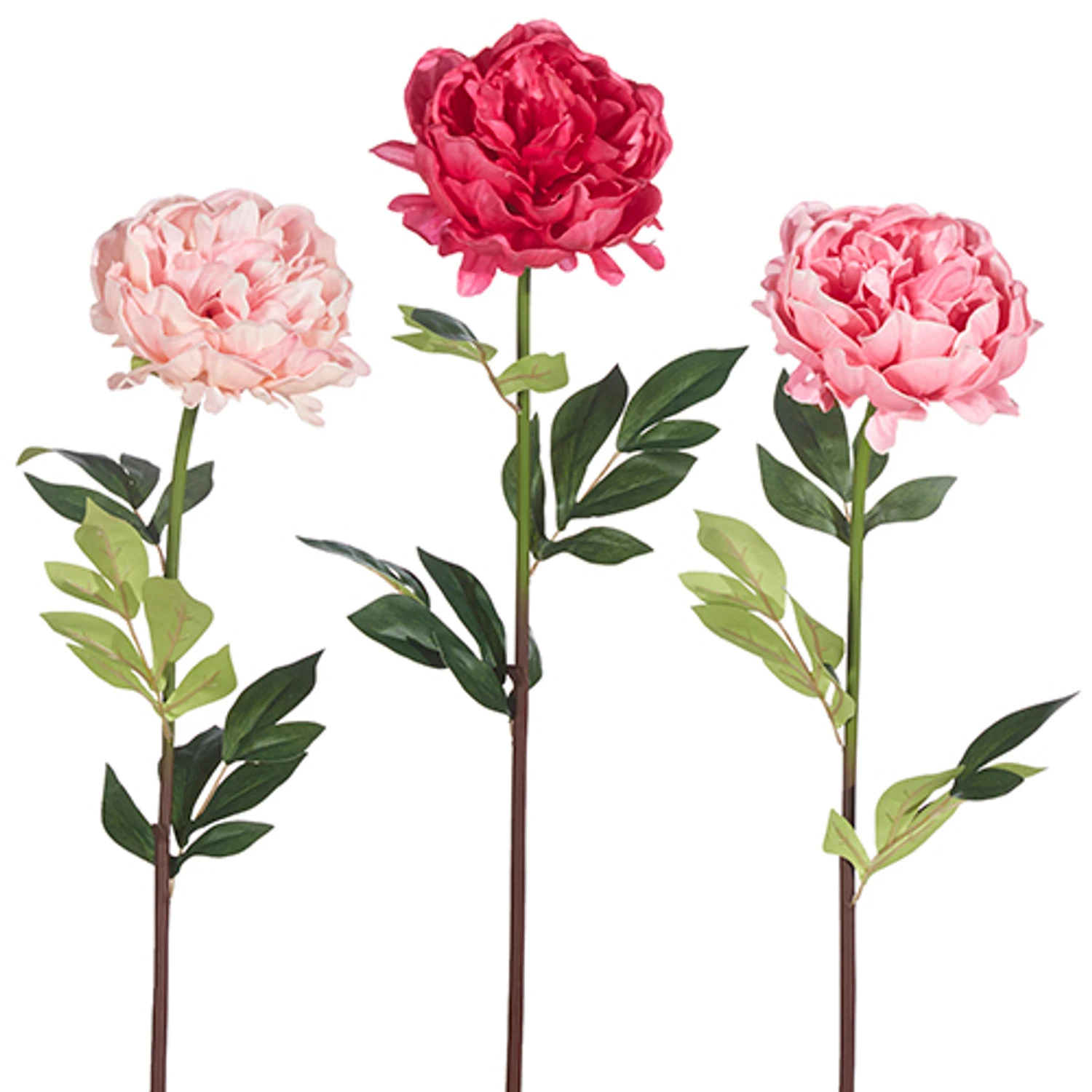 Raz 25" Real Touch Peony Stem Christmas Pick XF4002107 4 Raz 25" Real Touch Peony Stem Christmas Pick XF4002107 - Image 2