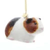 Kurt Adler 3" Noble Gems Guinea Pig Glass Christmas Ornament NB1632 -Christmas Decoration apiurkal3 19167.1646091905