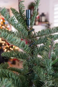 Village Lighting Universal Christmas Tree Topper Holder V-11103 -Christmas Decoration apiylnmow 47410.1646091960